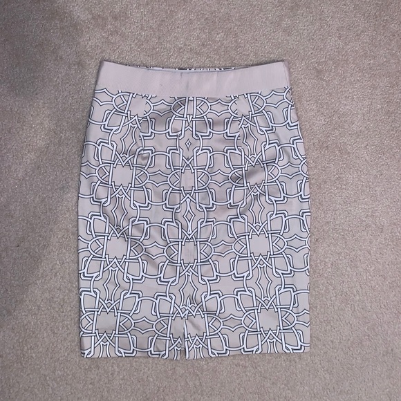 The Limited Skirt - Picture 2 of 5